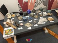 09 upoznaj zemlju   zaviri u mikroskop