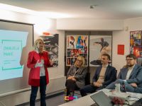 vijece mladih gradana grada pule